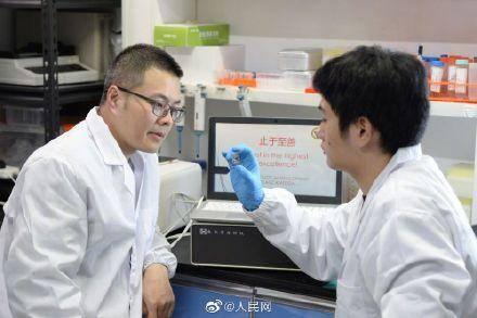 东南大学生物医学工程考研，探索前沿科技，勇攀学术高峰