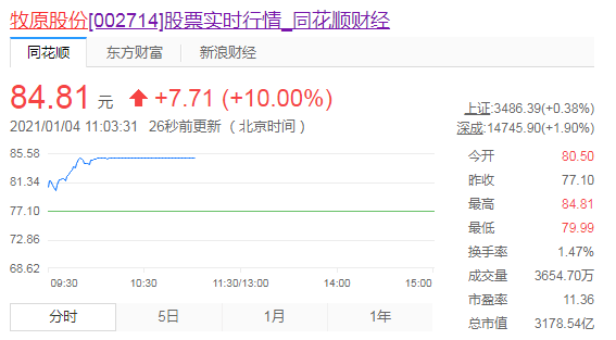 牧原股份最新公告深度解析