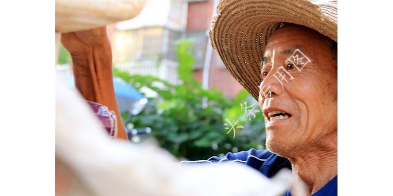 女子拒还彩礼引发争议，背后真相揭秘，母亲因此遭拘留的深层原因