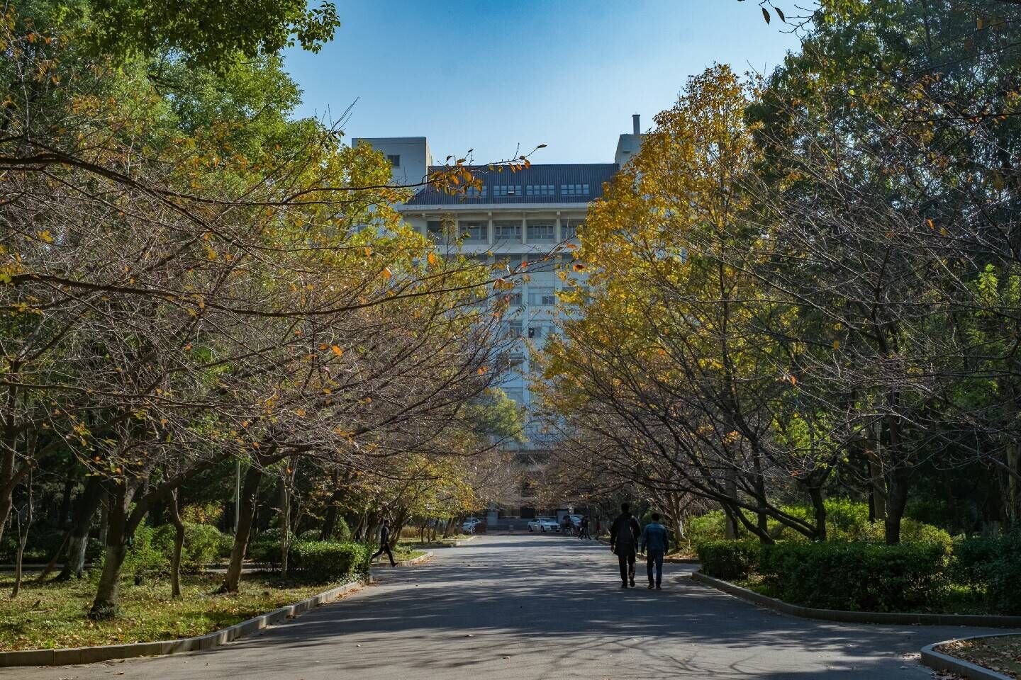 南京林业大学，绿色学府培育林业英才