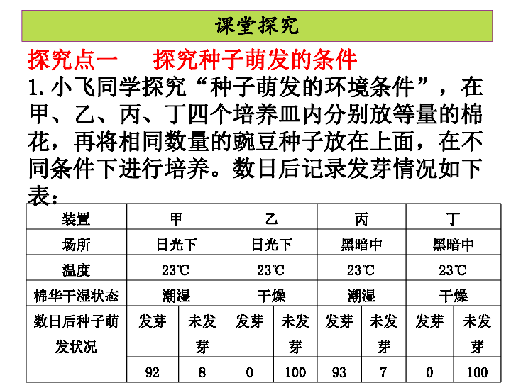 章子尺寸的重要性及其应用领域探讨