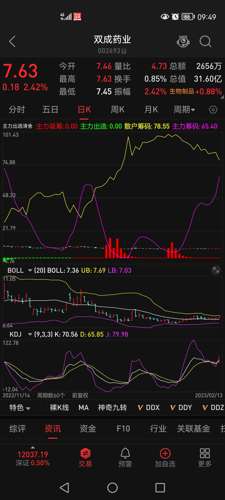 双成医药股票股吧，投资机遇与挑战并存分析