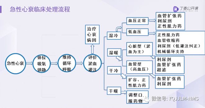 腺病毒七天感染流程图，从感染到表现全过程解析