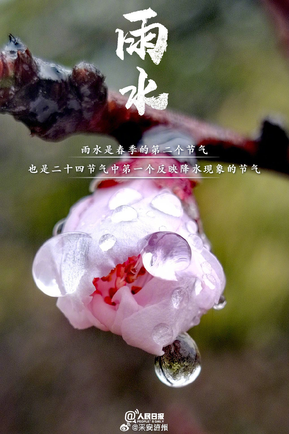 春雨滋润万物，生机勃发——春分时节来临