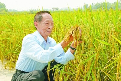 袁隆平，稻田骄子，国士无双