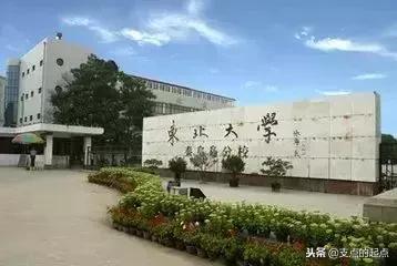 东北大学，身份揭秘与背后的故事探索