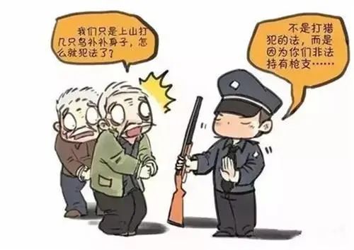 杨克宁非法持有枪支弹药案，法律铁拳彰显正义