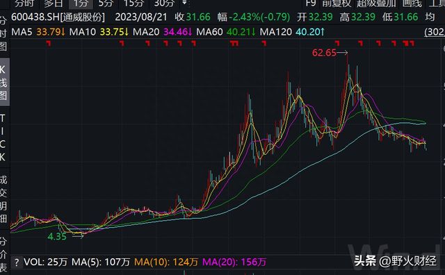 通威股份行情深度剖析与解读