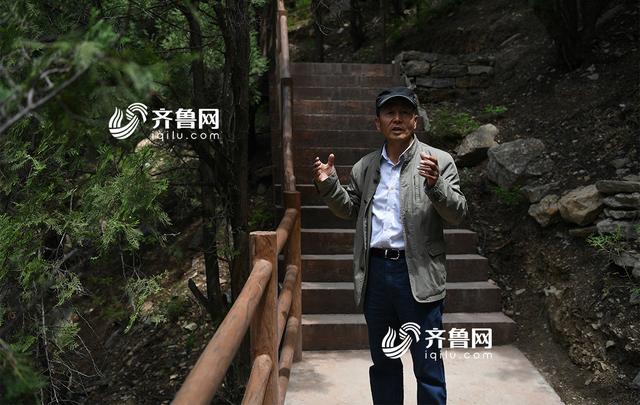 山东六旬夫妻22年植绿一座山