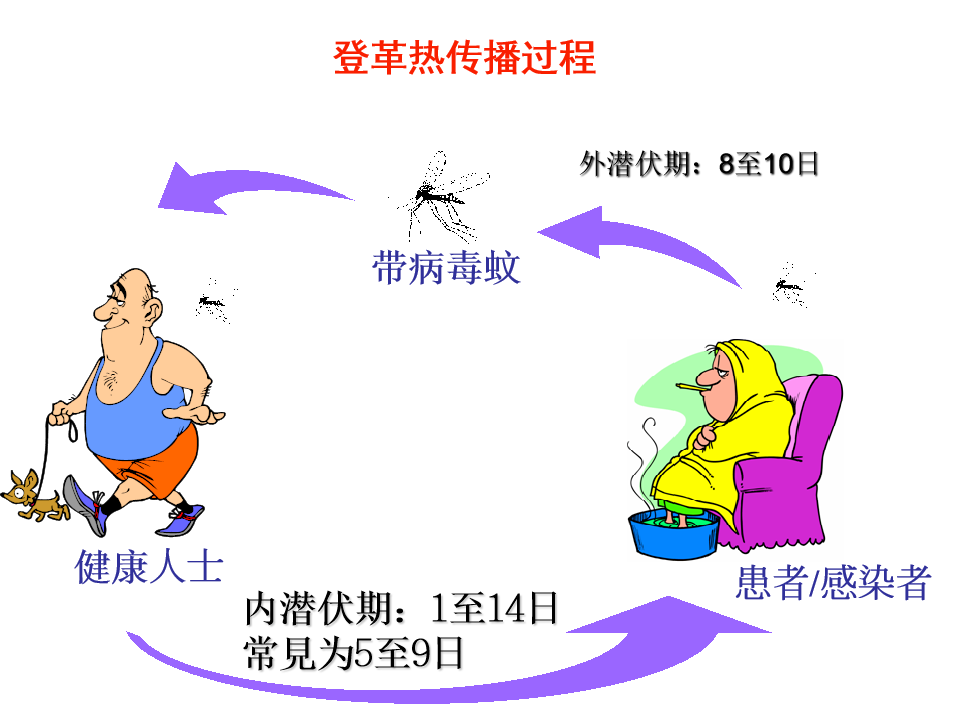 登革热防治指南